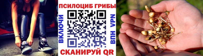 Псилоцибиновые грибы Psilocybine cubensis  хочу наркоту  дарк нет официальный сайт  Обнинск 