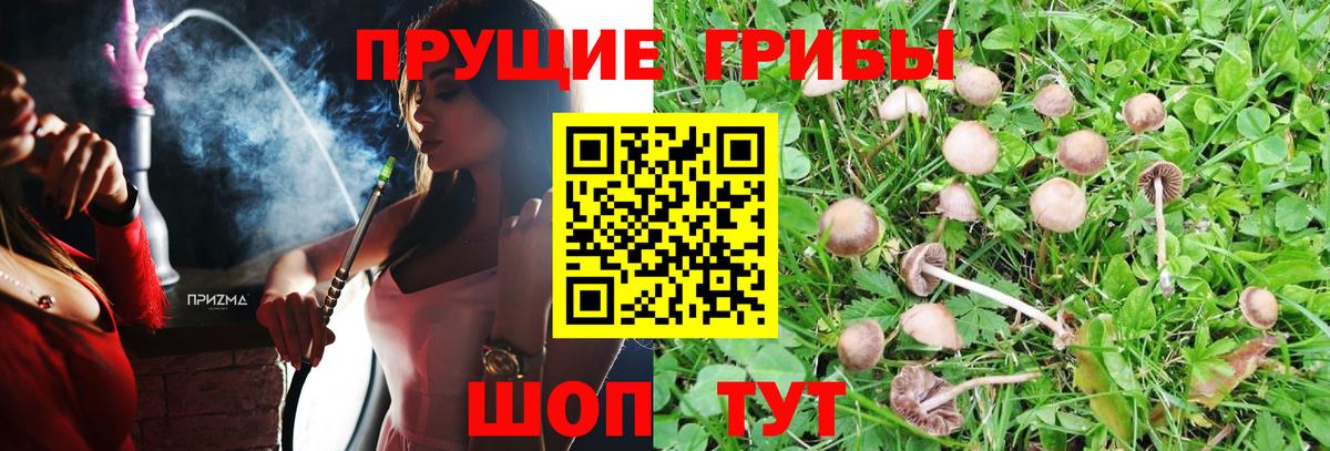 Псилоцибиновые грибы прущие грибы  Вход с VPN  Обнинск 