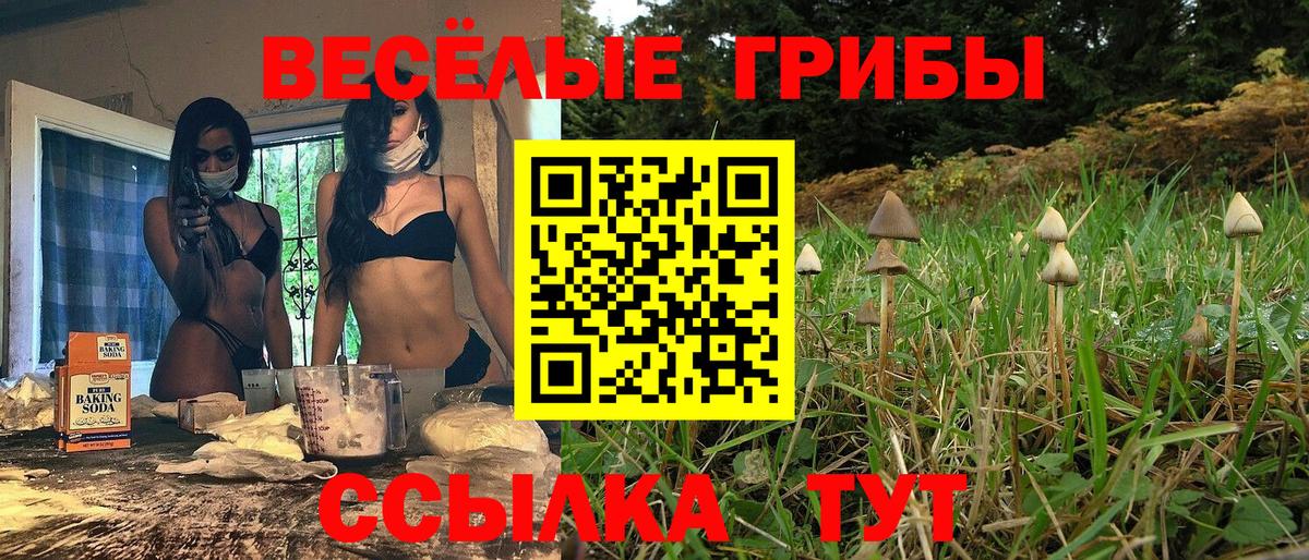 Галлюциногенные грибы Cubensis  Псилоцибиновые грибы мицелий  Вход с VPN  Обнинск 