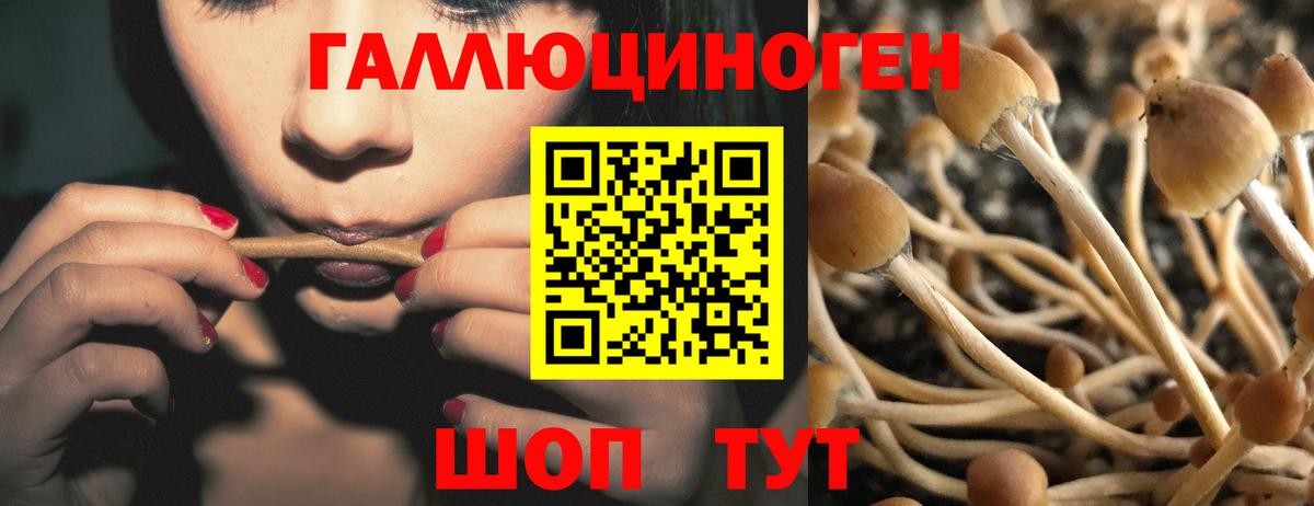 Псилоцибиновые грибы прущие грибы Обнинск