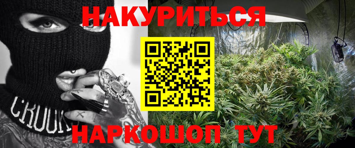 Каннабис план Обнинск